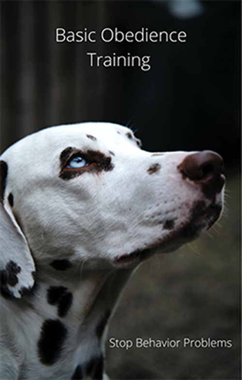 Product picture Basic Obedience Training