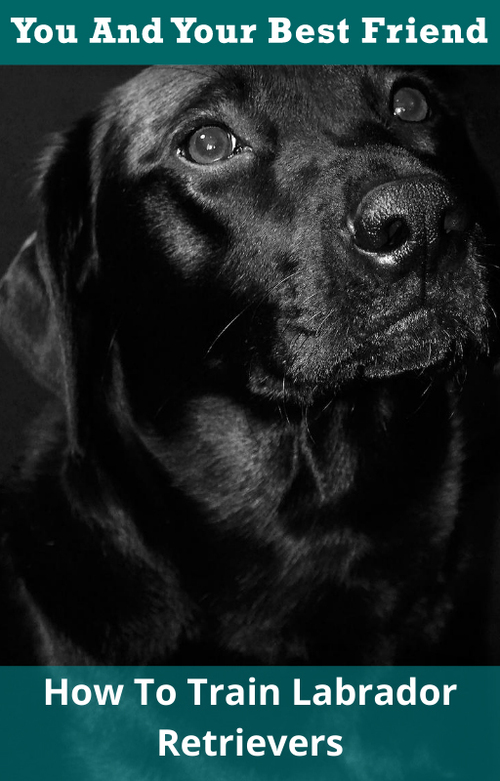 Product picture How To Train Labrador Retrievers